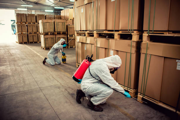Best Wasp Removal Services  in San Carlos Park, FL
