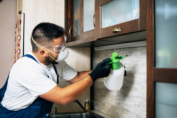 Best Best Pest Control Companies  in San Carlos Park, FL