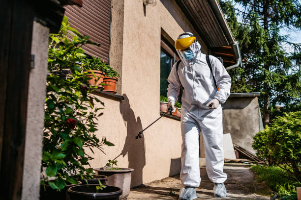 Best Termite Control Services  in San Carlos Park, FL