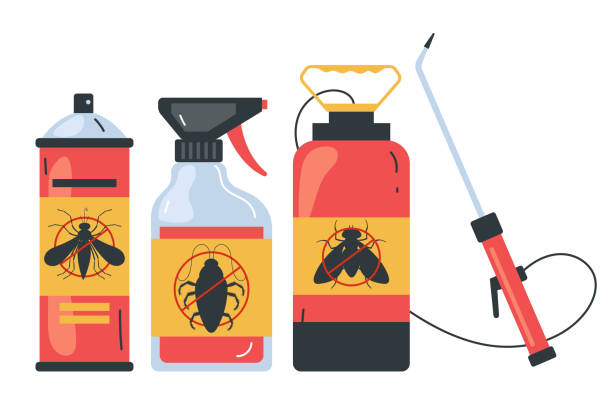 Wasp Removal Services in San Carlos Park, FL