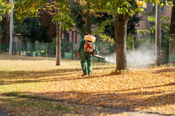 Best Best Pest Control Companies  in San Carlos Park, FL