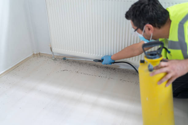Best Residential Pest Control  in San Carlos Park, FL