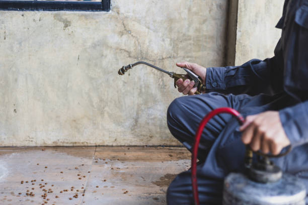 Best Pest Removal Services  in San Carlos Park, FL